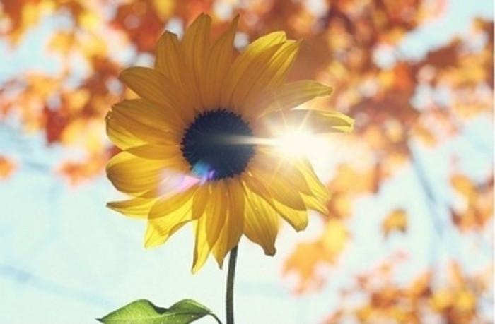 Ů���h��ȡ��Ԣ����� �h��Ů�������Ϻ���������