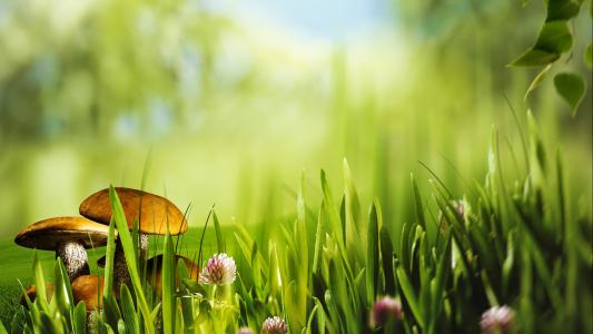 �к�����Ԣ��õĺ��֣��к���ӱ�к���������