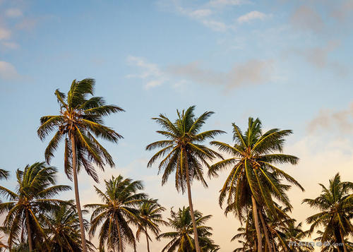 ʫ�黭��������к�����ʫ��ŷ����������