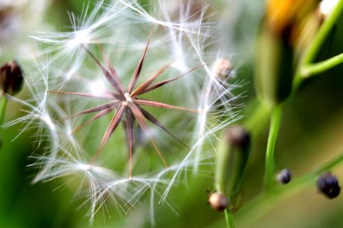 �к������к��������֣��ŷ�������������������