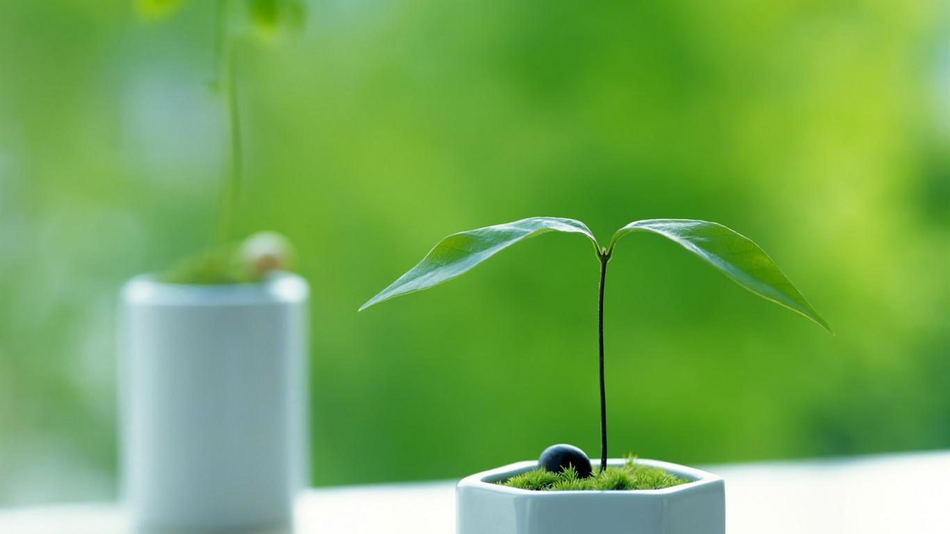 Ůţ����ȡ������ѷ����Ƽ� Ů�������к���������ţ����