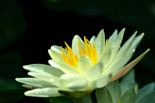 ��Ƨ�����޵�Ů�����֣����Ų���������Ů������