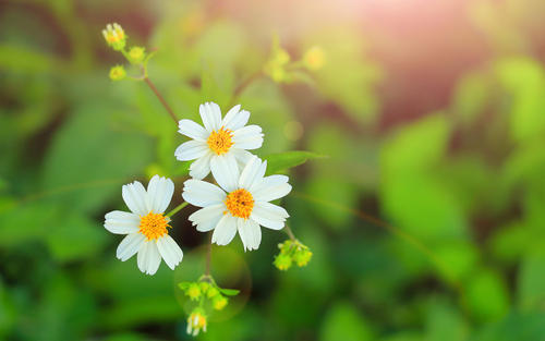 �����д������к����֣�������ժȡ���к�����