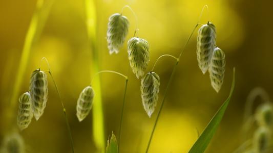 �к�����Ӳ�������֣�����֮�����к����ִ�ȫ