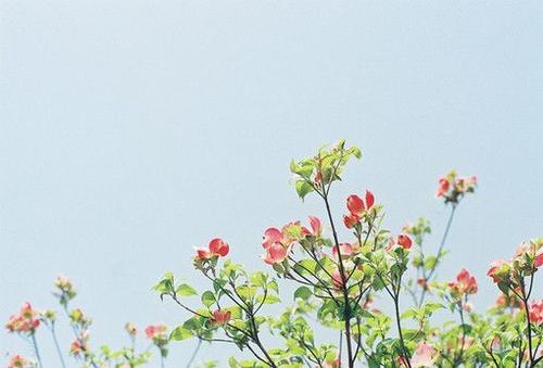 �����ĺ�������Ů���ã���Ԣ��ĺ�������Ů��