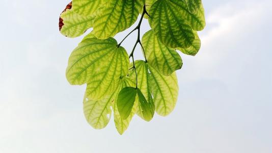 �ʺ�Ů�������ִ�ȫ��ѣ���˳�ڵ�Ů������