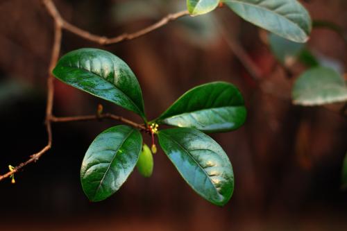 ����Ů���к��������֣�������һ�޶���Ů����