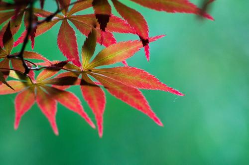 Ů�������Ż���������֣�����������Ů������