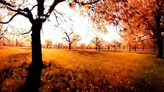 ���ڵ��к����������㣬�����к�����˳������