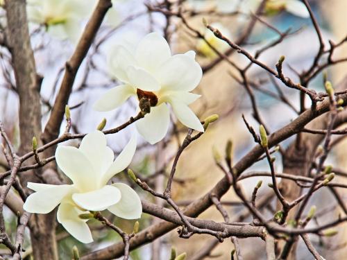 �����Ͽ��к������֣��к������к���������