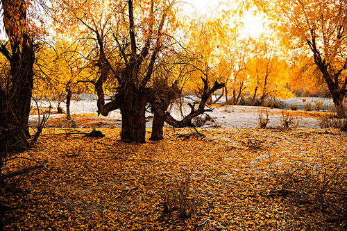 Ů����ȡʲô���ֺ������ں���Ů�������ִ�������ζ