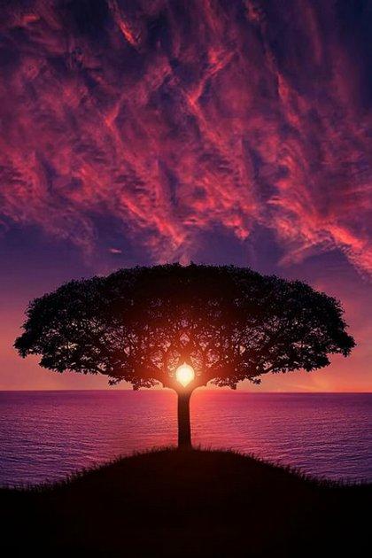 ���ֵ�����������ʲôԢ�� ����ȡ���к�����ȫ