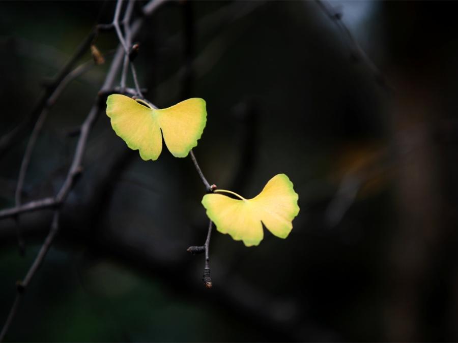 �����к���������ȡ������ 2021�����к����ֺ�����ȫ