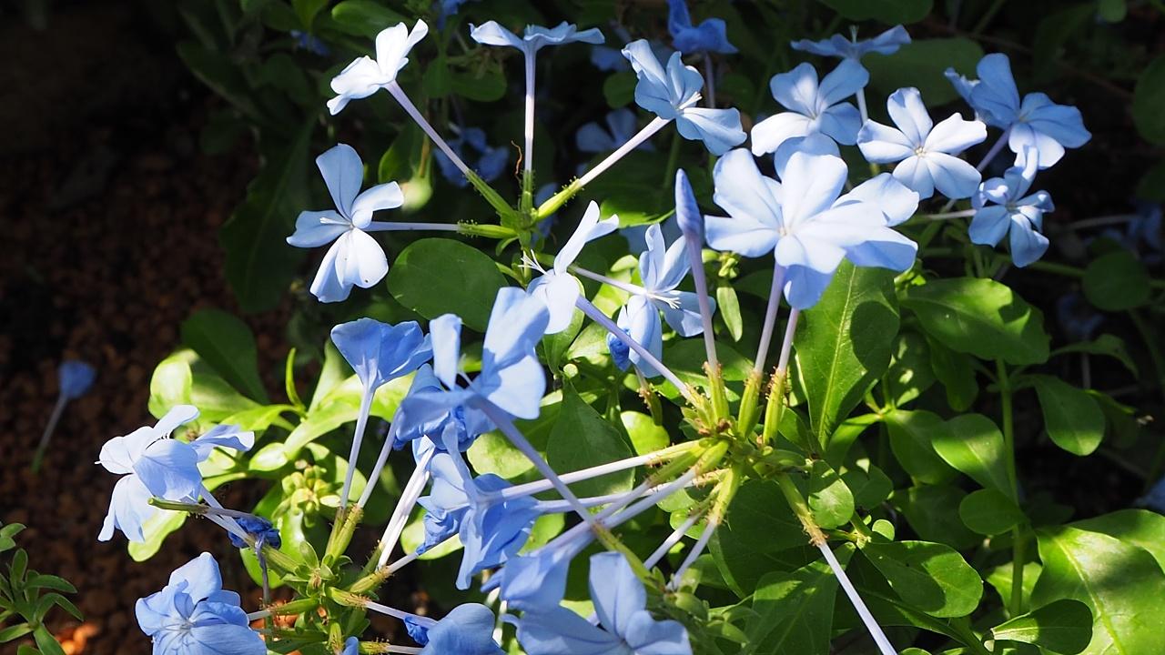 ������Ů����ʲô���ֺ� Ů���������ֺ�����������������ִ�ȫ