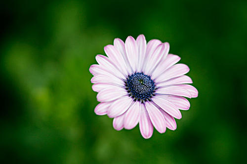 �����к���˳�ڵ��к����֣������е�ʵ��к����ּ�����