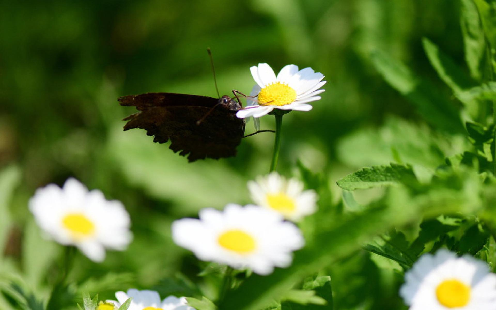 ţ��Ů�������������� 2021Ů����ȡ����ȫ��