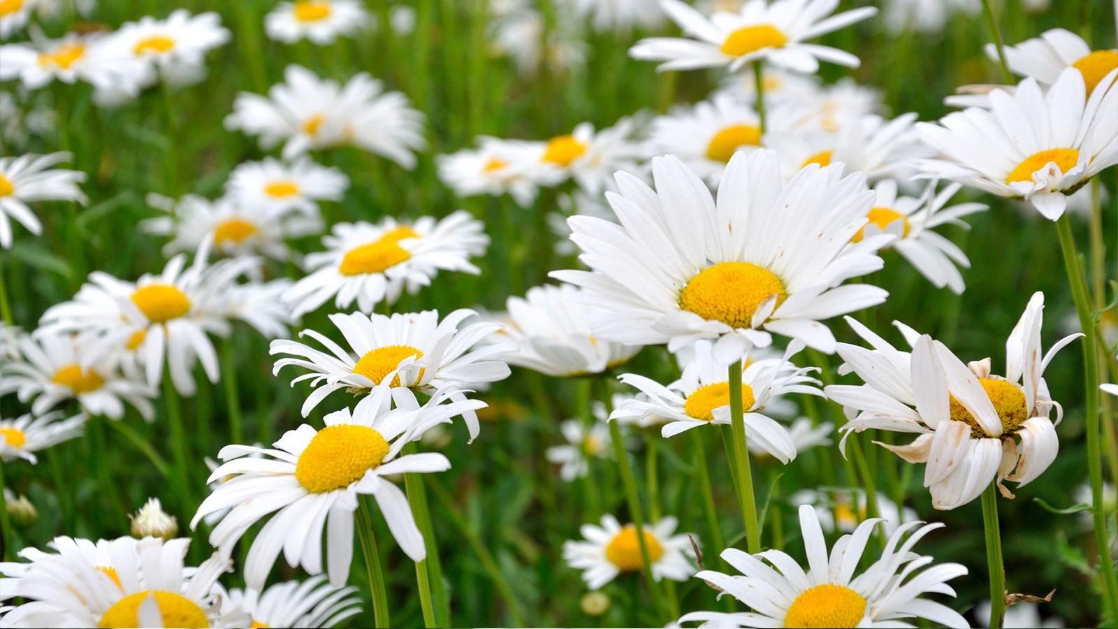 Ů�����������ʵ����� 2021��Ů�������ľ�ʫ������