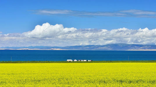 ����ȡ�����ں����к��������к�2021ȡ��Ԣ��õ�