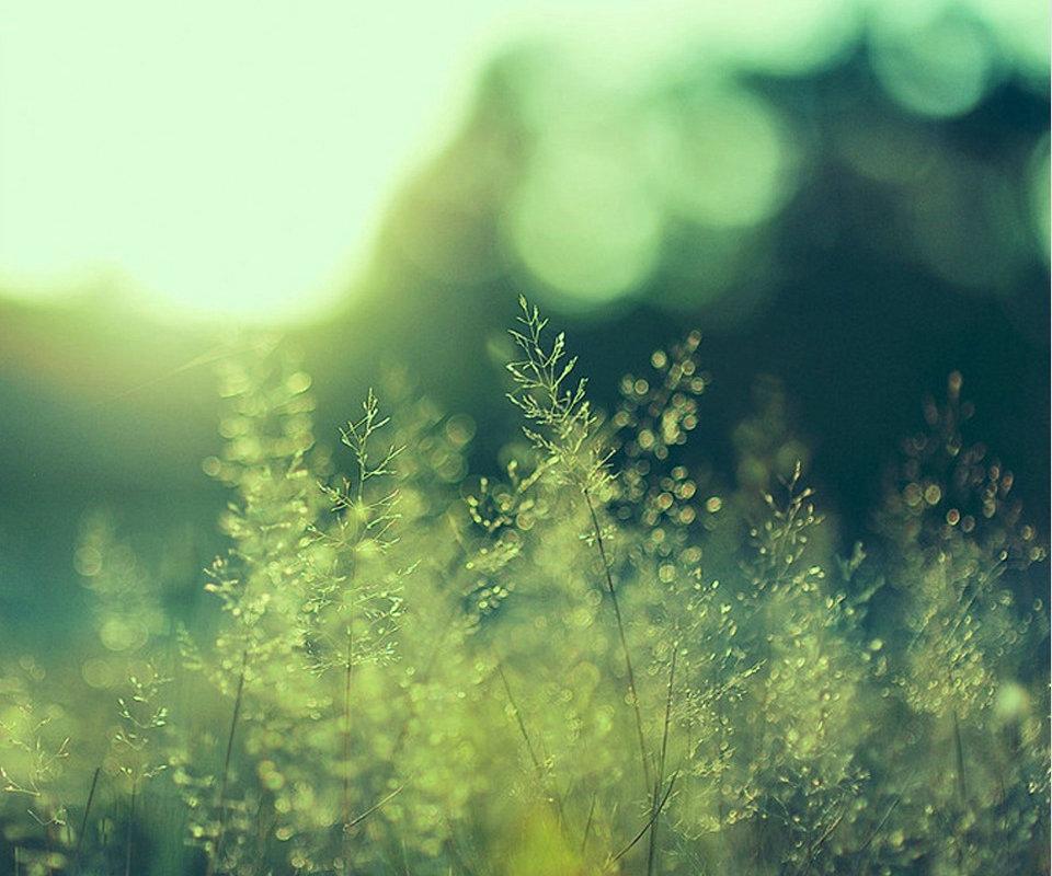 Ů��Ư���к����򵥴��������� �ʺ���ţŮ����Ԣ��õ�����