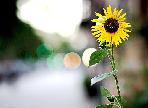 ����Ů�����ּ򵥴�������������˳�ڵ�Ů����