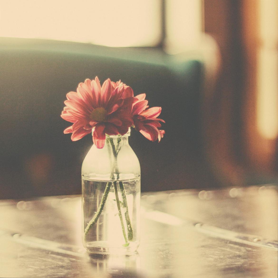 �δ���ʫ��Ψ��������Ů 	������ʫ�δ����Ķ��ŵ�Ů������