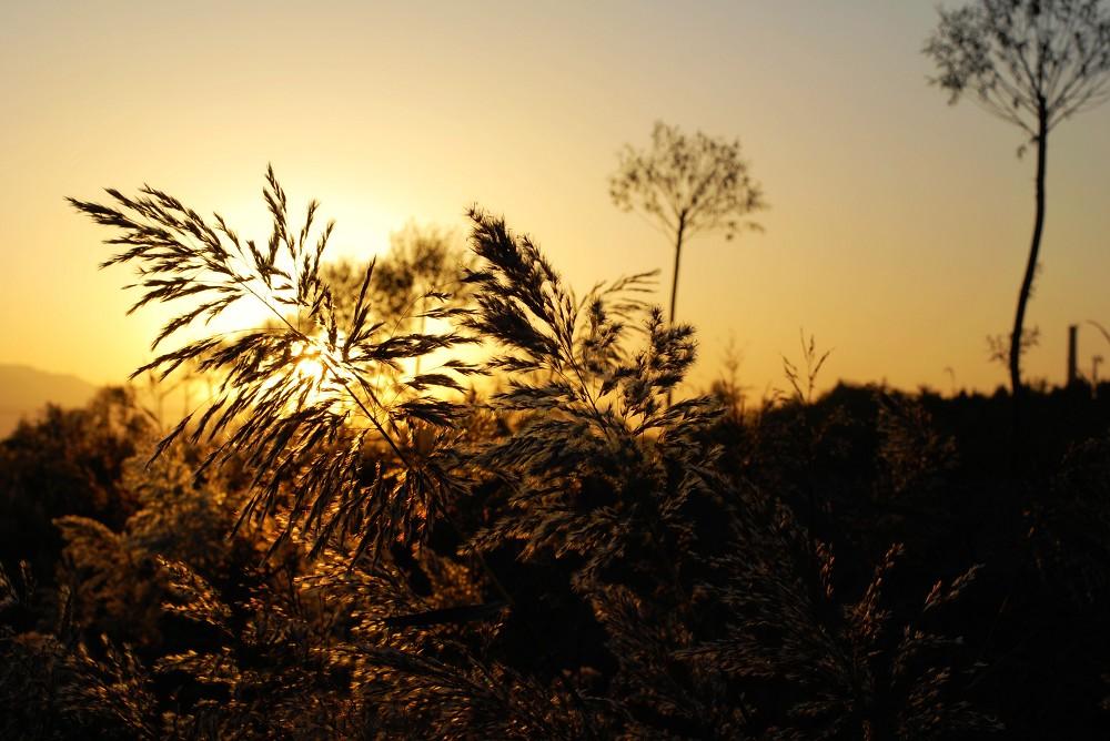 ����ȡ���ĺ�����ʲô�к� ������ʲô�����ֺ�������ȫ��