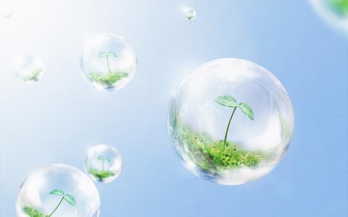 ��ҩ�ŷ����ŵ����֣����ݸ�Ŀ�����������