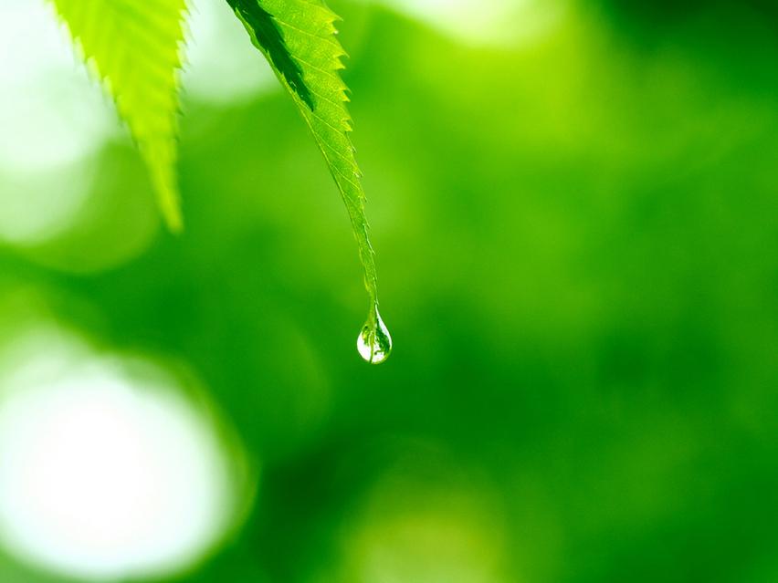 �����е�ʵ��к�����ţ���� 2021�������ʺϵ��к�����