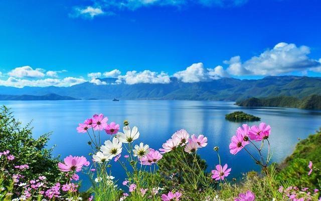 ܷ��ȡ����Ԣ��ͺ�����ʲô ܷ��ʲô�ֱȽϺ����ִ�ȫ