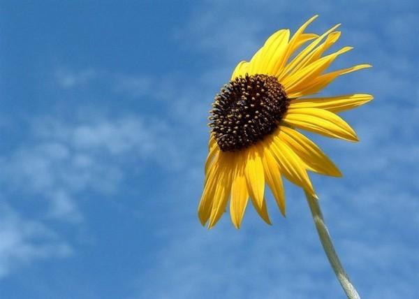 ����ȡ��ʲôԢ�����������ĸ� 100�ִ�����Ů������