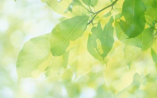 �򵥴���ʫ��Ů�����֣�����ʫ����Ů������