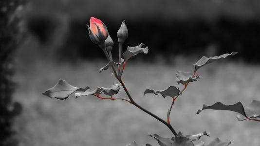 ������Ů������������������������Ů������