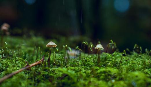 �����������Ů�����֣��������ر��Ů������