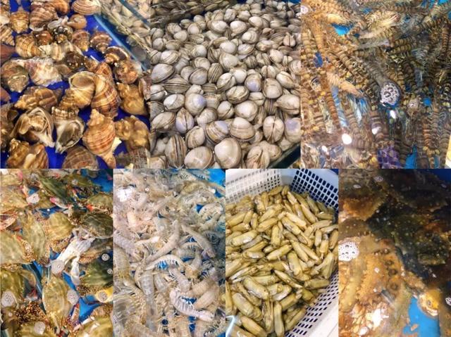 海鲜店怎么取名字旺生意?简单好听的海鲜店名字大全!