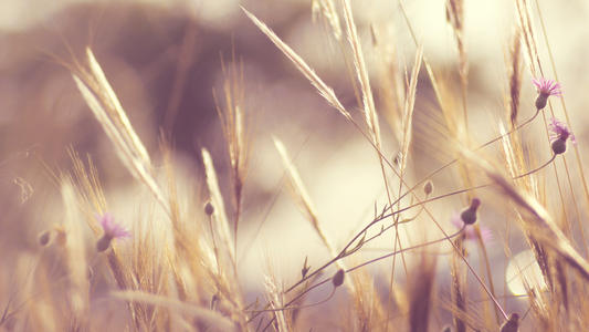 ���Ƶ��к�������Ԣ�⣬���պ���ϡ�ٵ��к�����