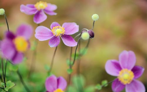 ��ţŮ����ȡ���ִ�ȫ��ţ��Ů�������ִ�ȫ���