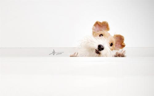 ���������Ķ������֣�������ȡ���ְ�����ק