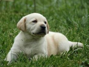 ���������ʲô���ֺ�����Ů��������ȡ���ִ�ȫ����