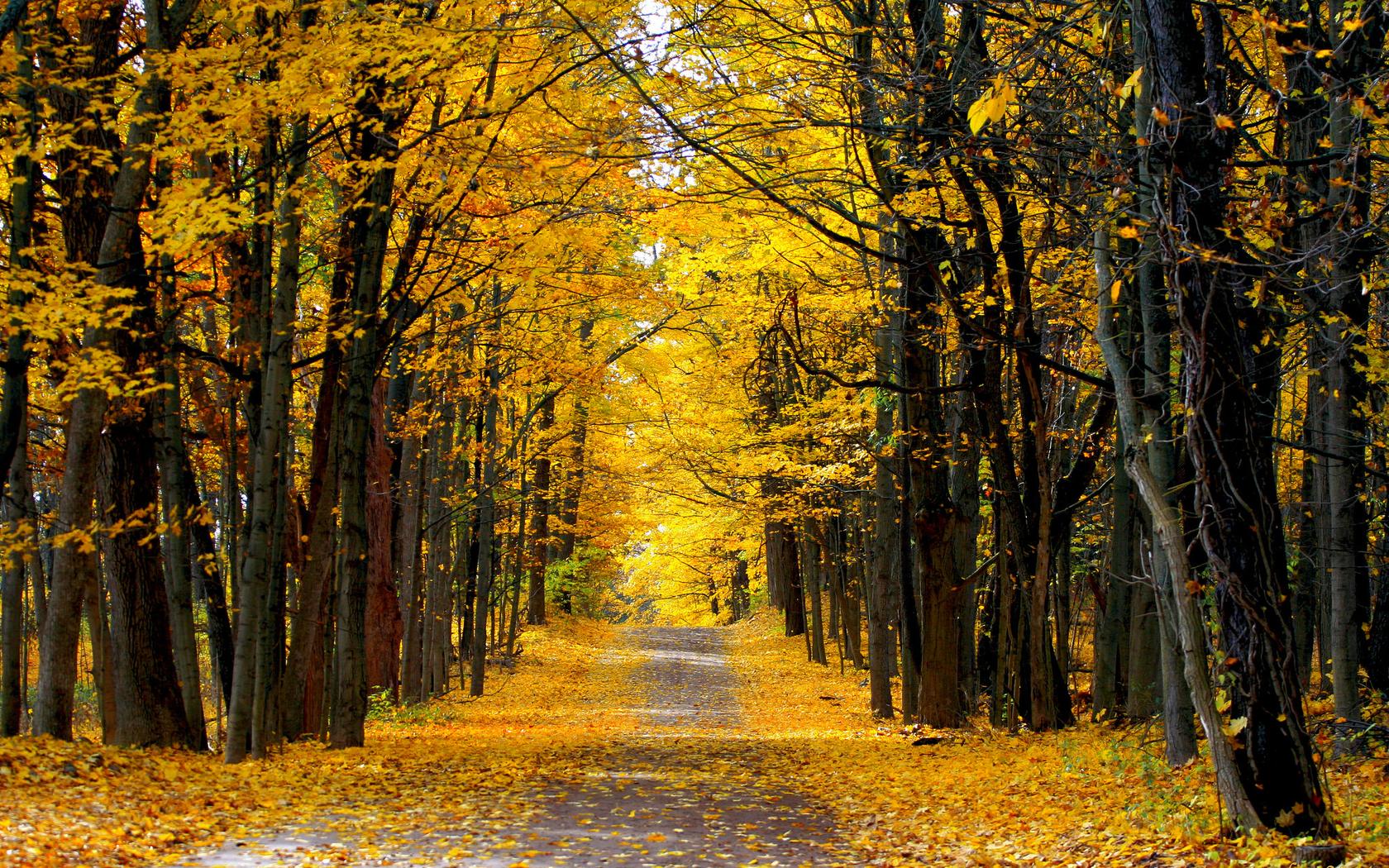 ������к������������ ������к������������������ִ�ȫ