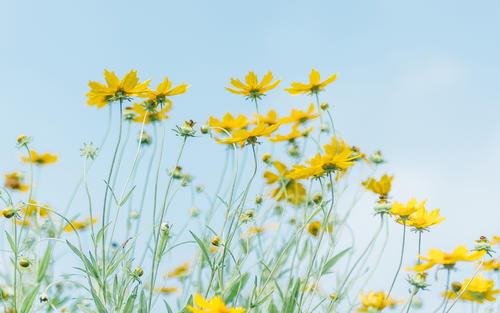 �δ��к������������֣��δ���������Ԣ����к���