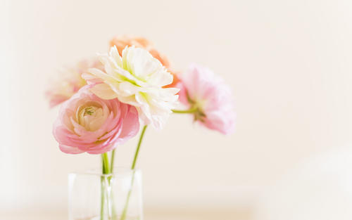 ����Ů���к��������֣�����Ů������ȡ����ȫ