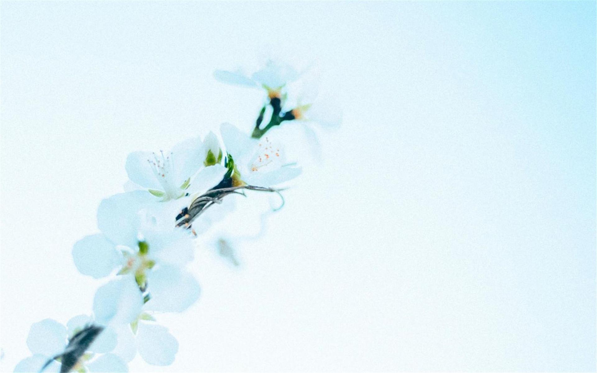 �����к�Ԣ��õİ������� �����к�������ȫ������