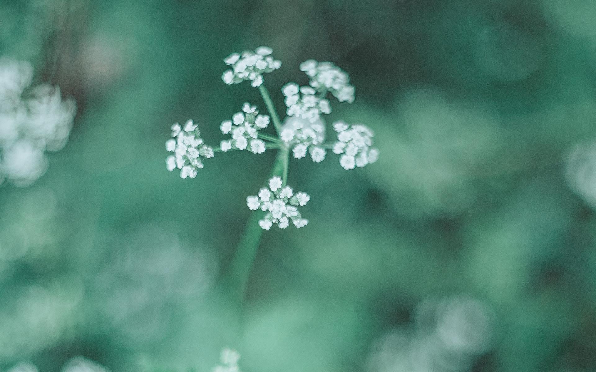 ��ţ������Ů�ʺ��õ�������Щ ��ţŮ����ȡ���ִ�ȫ