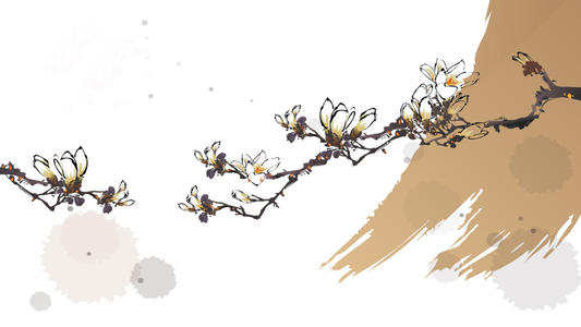 Ů�����������ŵ����֣������Եĸ���Ů������