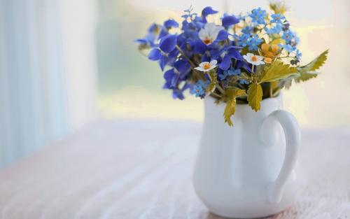 ʫ���к����ָ߶˴�����ѣ�ʫ���к������к����ִ�����