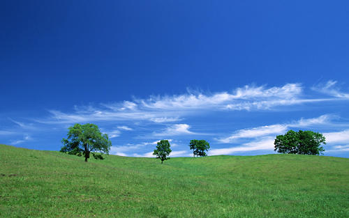 Ӣ������Ů���򵥺��������������Ӣ����Ů����