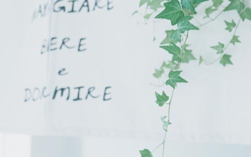 ����������ʲô�ֺ��к� ����ȡ���к�Ԣ��õ�100������