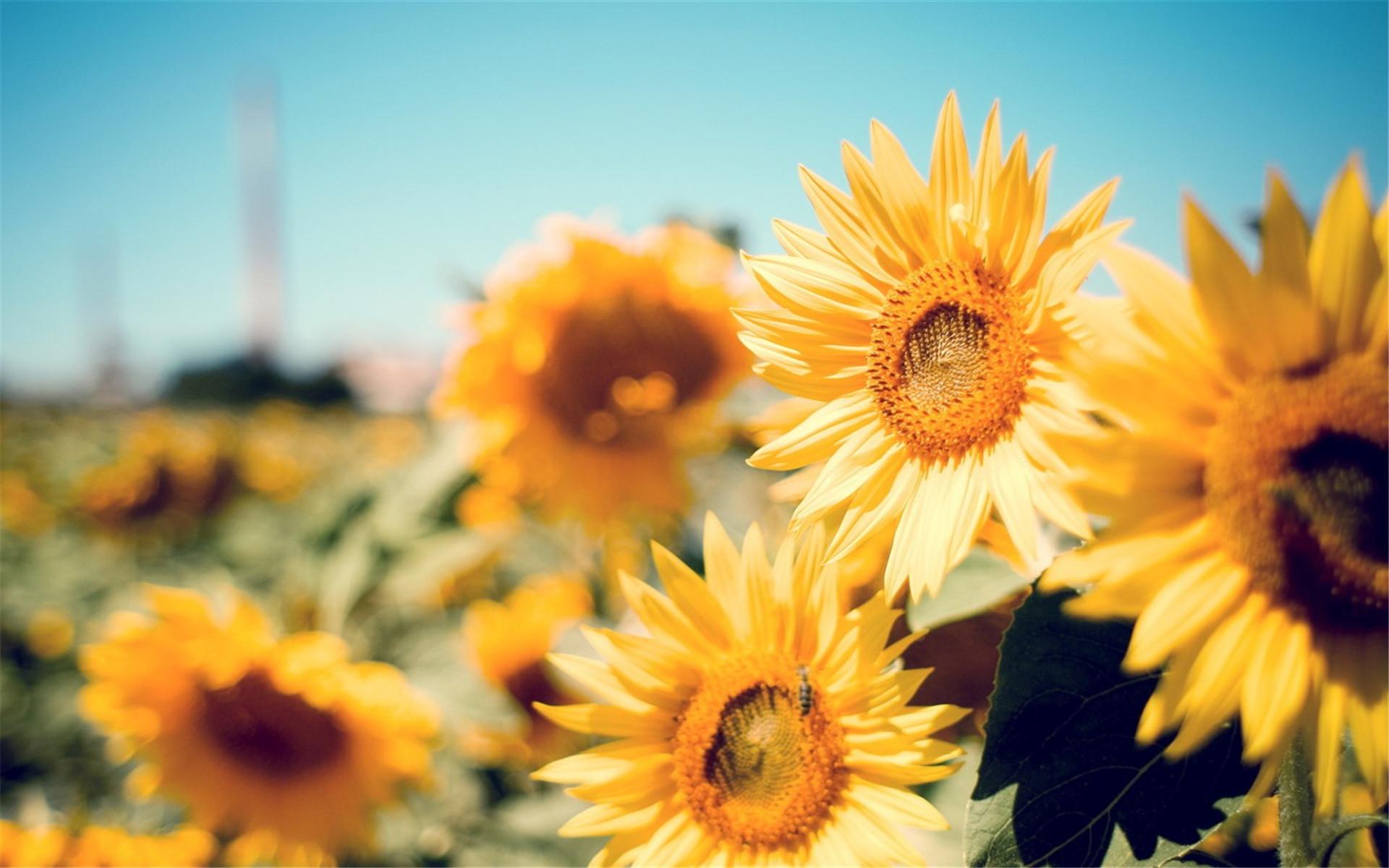 ���ȡ����Ԣ��ͺ�����ʲô ���ȡ���к����ִ�ȫ