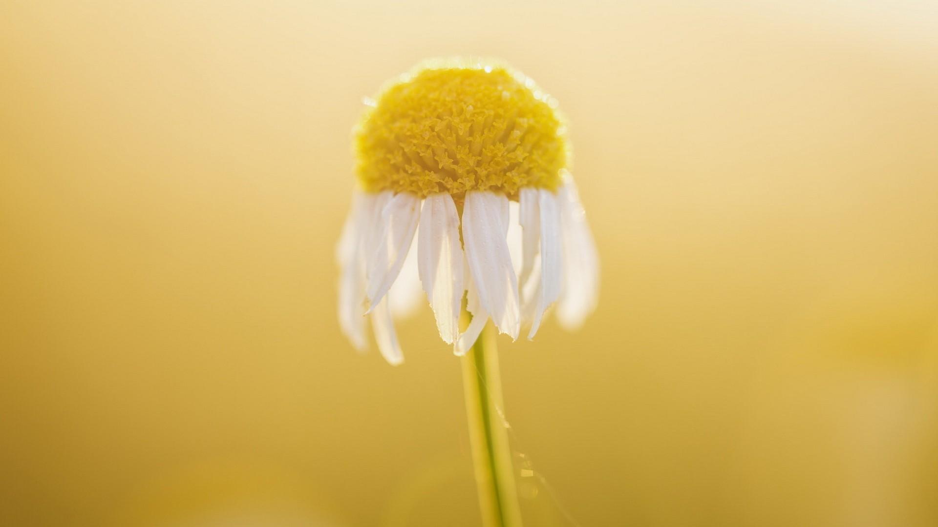 ����Ů��ȡ������Ԣ�� ����Ů������������ ����ȡ��100��