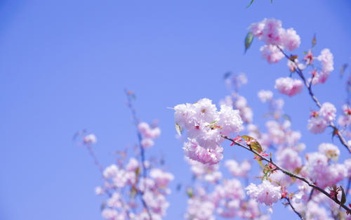 �����Ե�Ů�����ִ�ȫ������ƫ�Ե�Ů�����־�ѡ